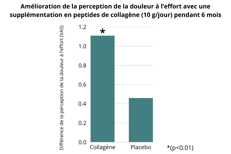 Amelioration de la perception de la douleur a l’effort avec une supplementation en peptides de collagene (10 g_jour) pendant 6 mois